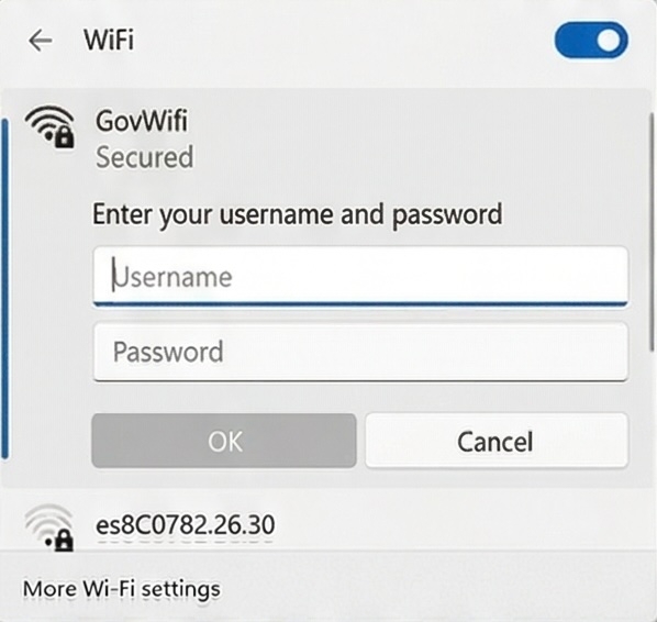Screenshot of Wifi panel with credentials open on Windows 11